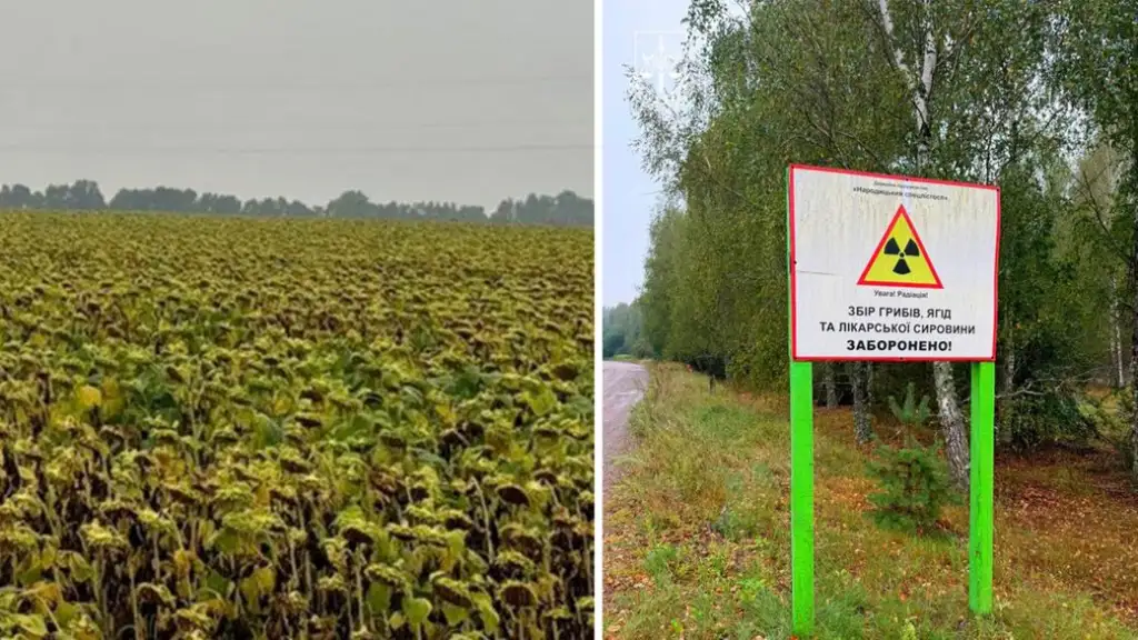 На Житомирщині викрили масштабну схему вирощування сільгосппродукції на радіоактивно забруднених землях