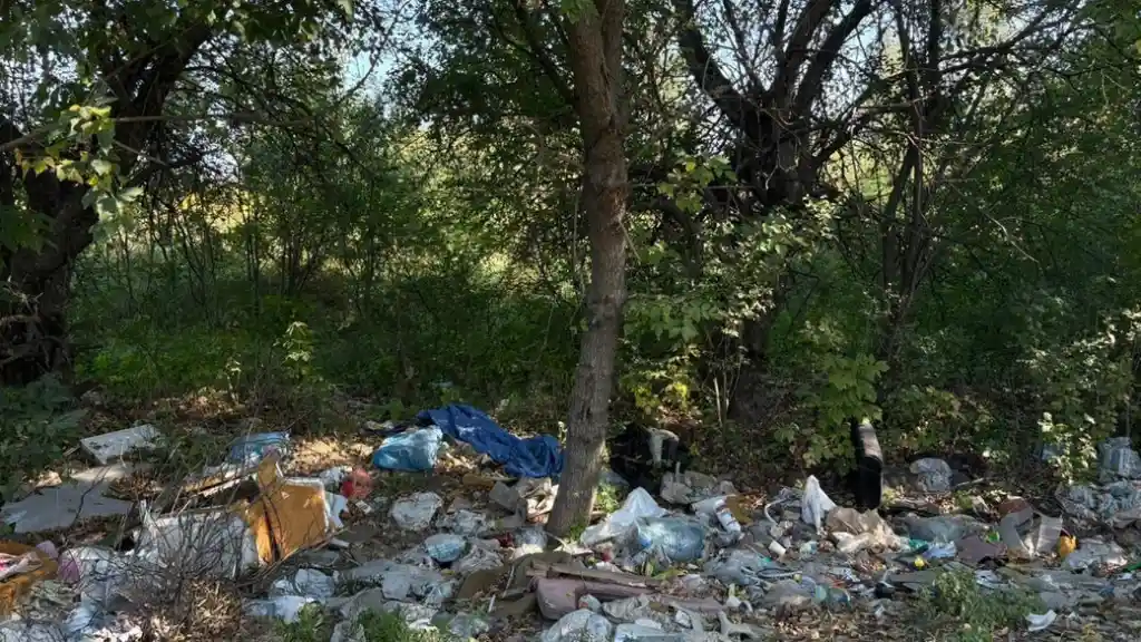 У Житомирі та передмісті під час рейду знайшли шість несанкціонованих смітників