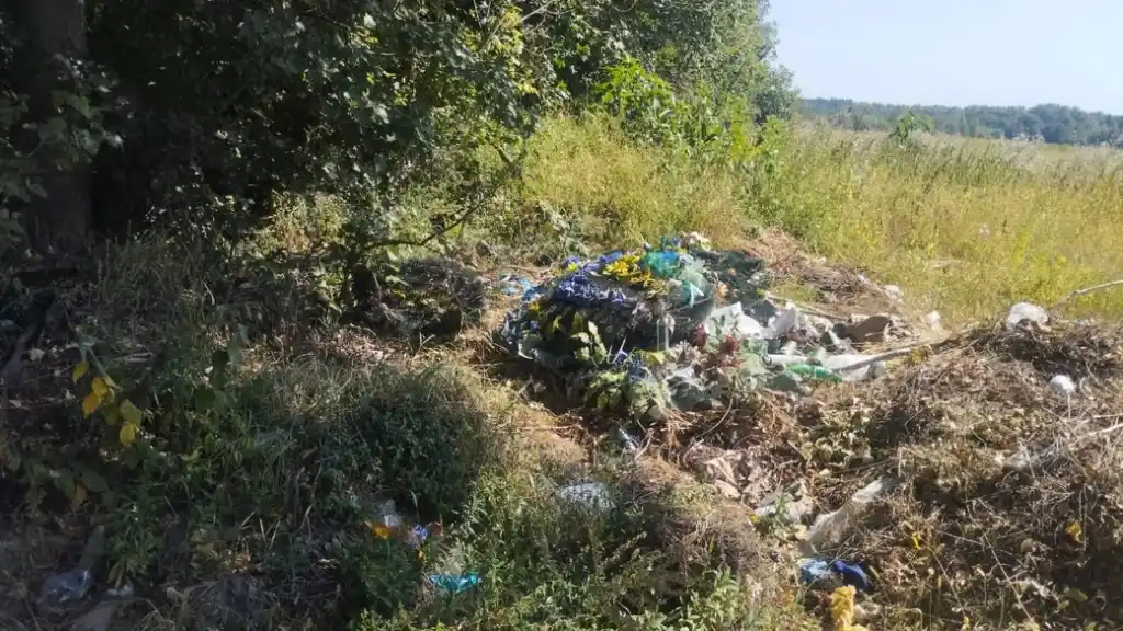 На Житомирщині виявили низку стихійних сміттєзвалищ: екоінспекція вимагає ліквідації