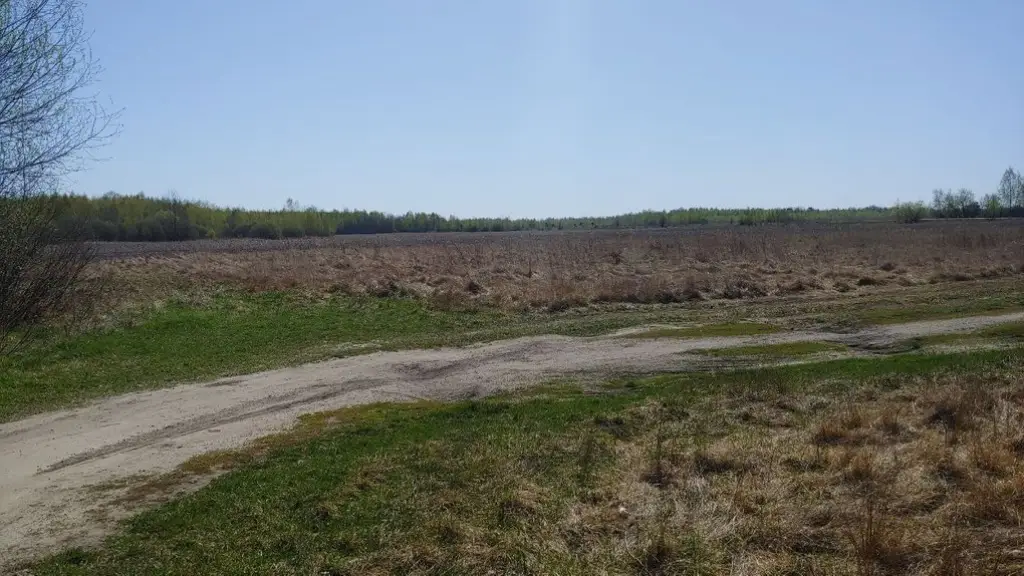 На Житомирщині громада судиться з агропідприємством через несплату оренди