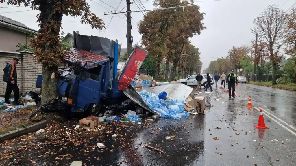 У Житомирі вантажівка в’їхала в дерево: постраждав пасажир, рух ускладнено