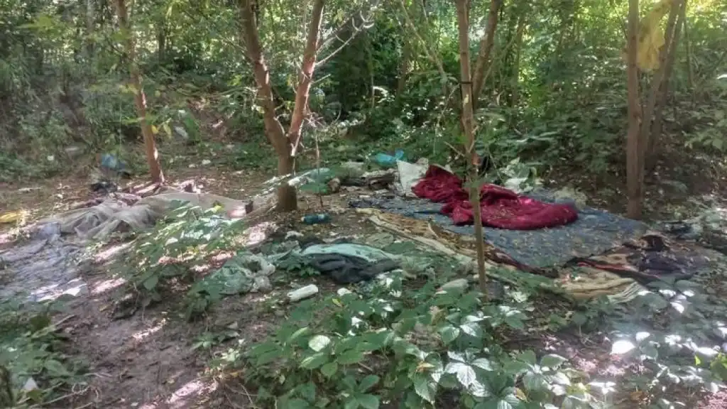 У центрі Житомира знову виявили незаконне сміттєзвалище біля Шодуарівського парку