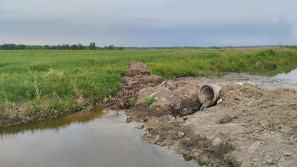 Суд апеляційної інстанції підтвердив припис екоінспекції фермерському господарству на Житомирщині