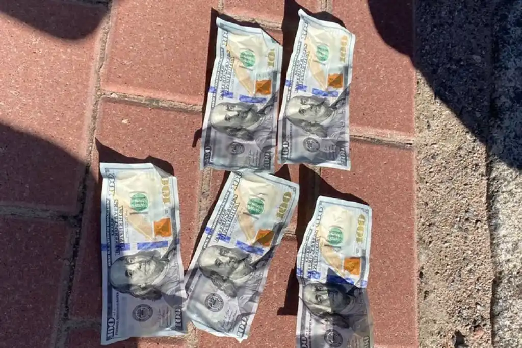 На Житомирщині лісового інженера підозрюють у повторному хабарництві