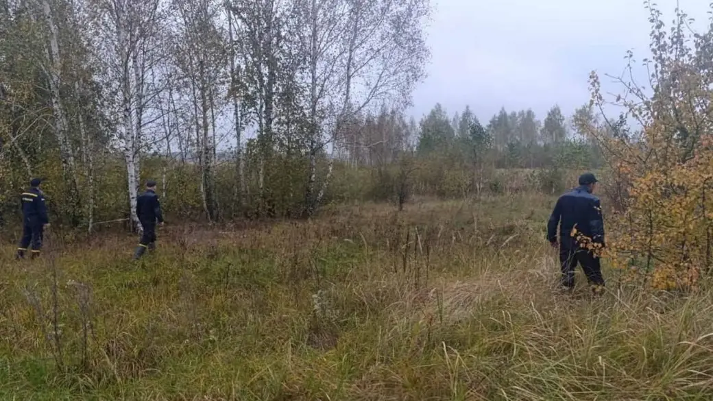 На Житомирщині шукають 91-річну жінку, яка пішла до лісу і не повернулася