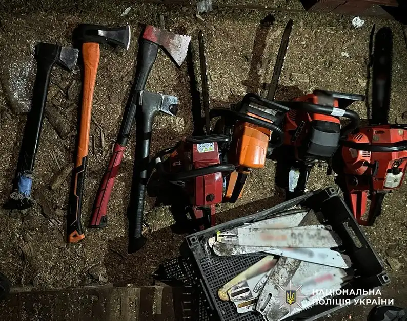 На Житомирщині затримали трьох чоловіків, які незаконно вирубували дерева в лісництві