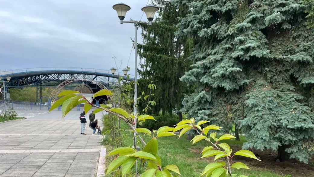 Житомирщина потрапить у центр циклону: синоптики прогнозують дощі та різке похолодання