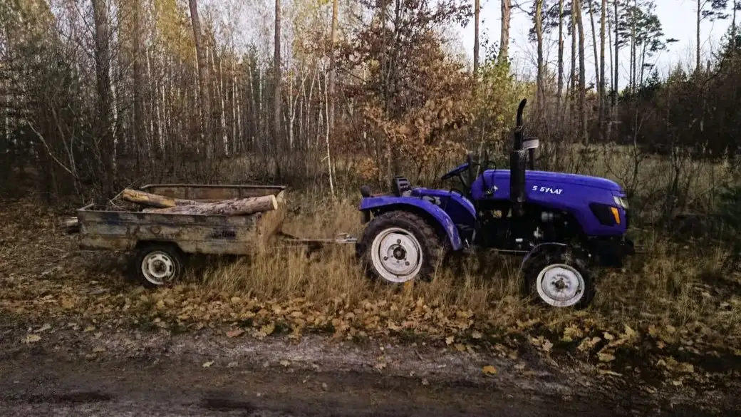 На Житомирщині під час незаконної вирубки загинув 67-річний чоловік