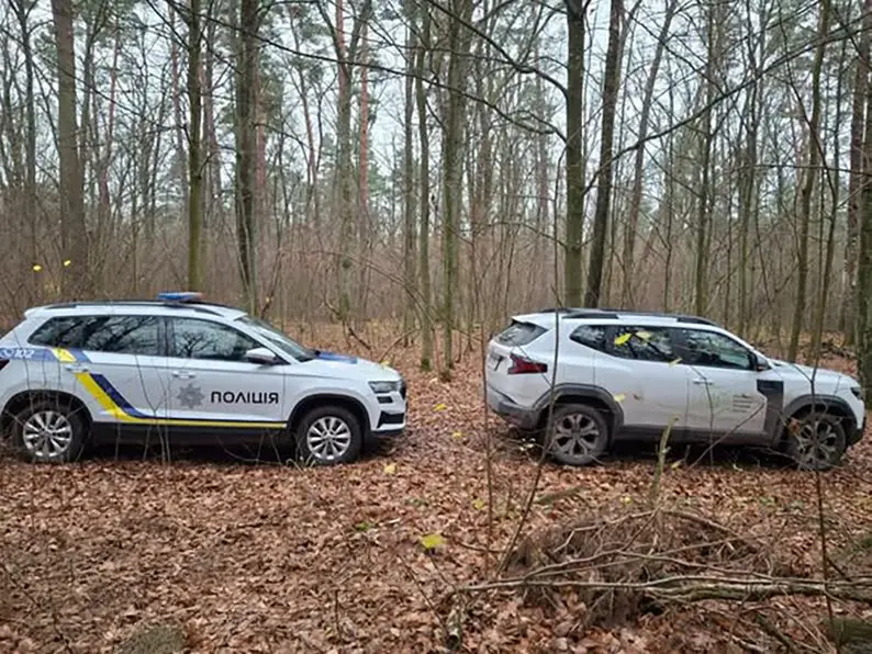 На Житомирщині інспектори зафіксували незаконну вирубку 17 дубів