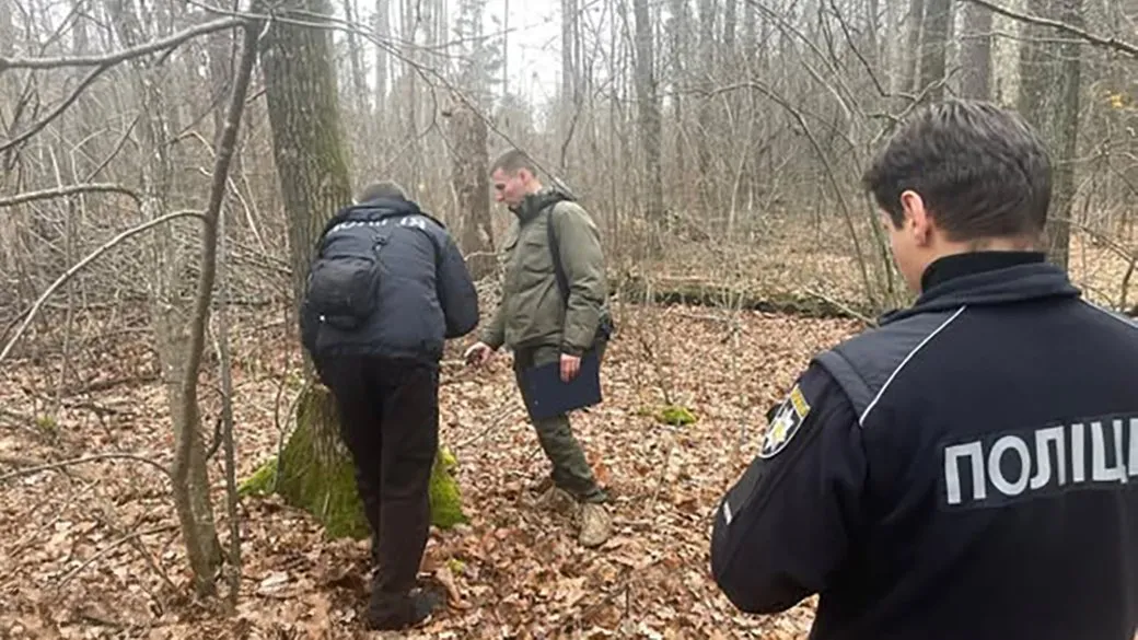 На Житомирщині інспектори зафіксували незаконну вирубку 17 дубів