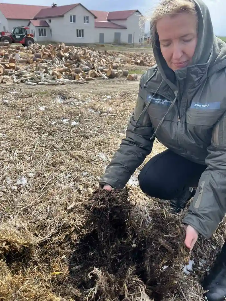 Осіння підготовка ґрунту до врожаю: житомирська фахівчиня пояснила, як відновити родючість