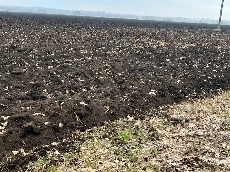 Осіння підготовка ґрунту до врожаю: житомирська фахівчиня пояснила, як відновити родючість