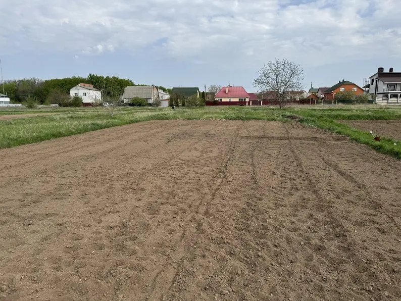 Осіння підготовка ґрунту до врожаю: житомирська фахівчиня пояснила, як відновити родючість
