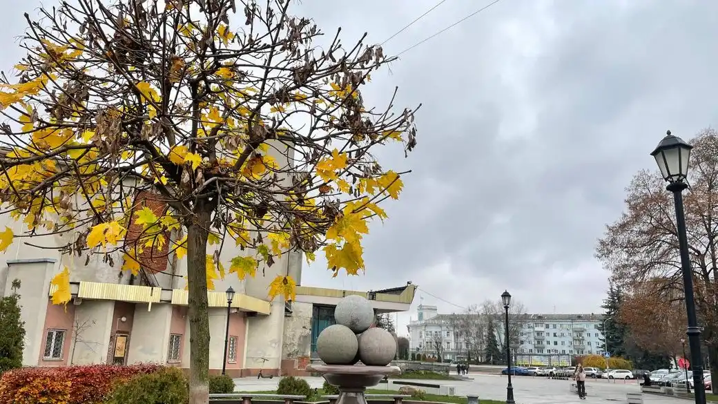 Хмарність та дощі: прогноз погоди на Житомирщині 15–17 листопада
