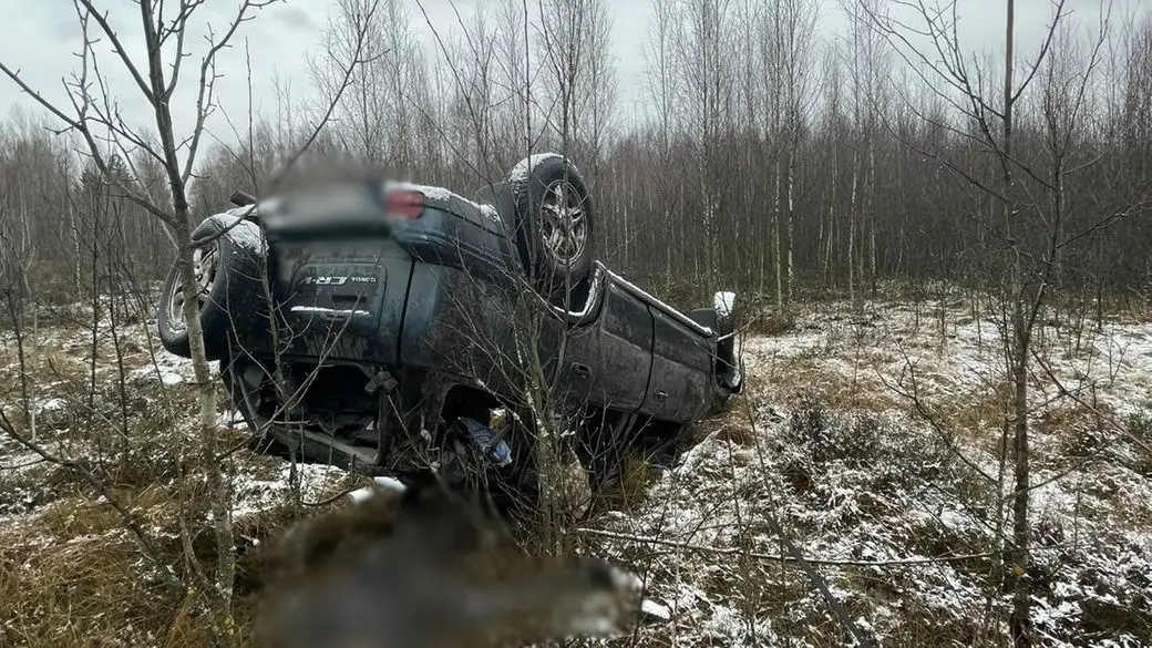 На Житомирщині перекинувся автомобіль: двоє чоловіків загинули