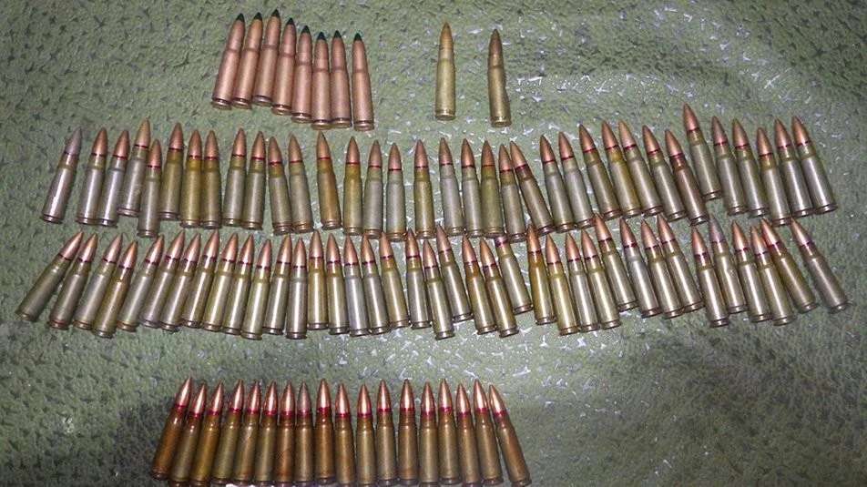 Три роки ув’язнення: на Житомирщині засудили чоловіка за сховок боєприпасів і продаж гранат