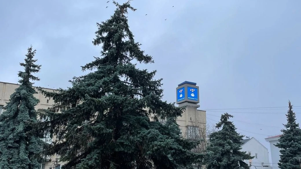 Житомирщина зустріне грудень без заметів та з хмарами