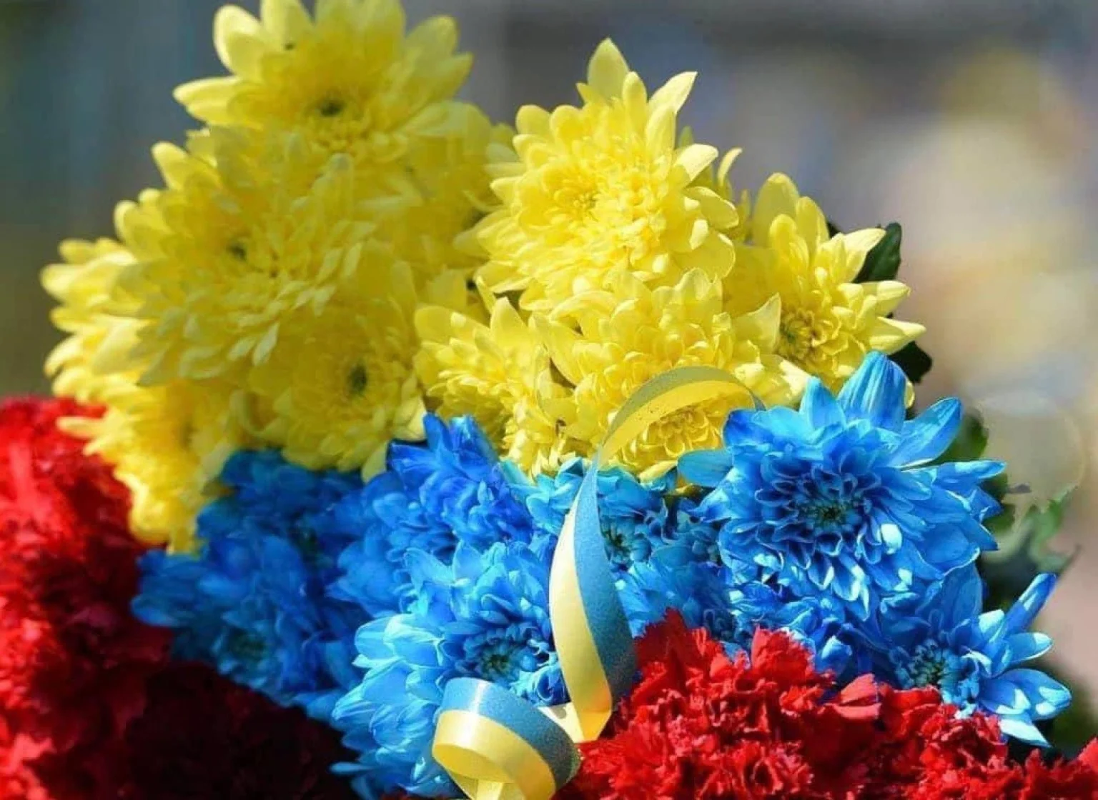 Житомир провів в останню путь воїна Михайла Колесника