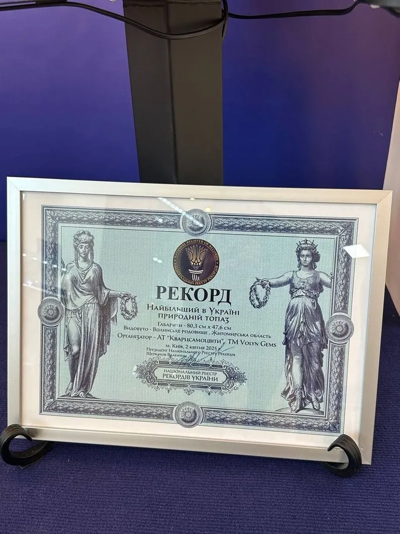 Житомирщина, яка вражає: немовля, кристал, силовики та “Пиріг єдності” увійшли в історію 2025 року