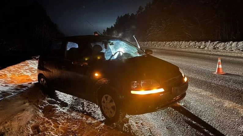 Нічна аварія біля Житомира: пішохід у критичному стані, поліція шукає, ким він є
