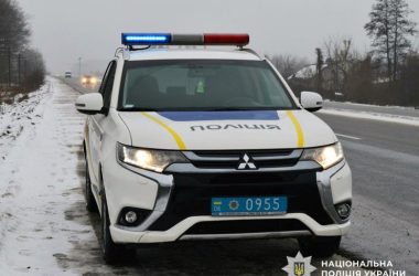 Фальшиве посвідчення з соцмережі: 27-річну водійку на Житомирщині передають до суду