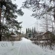 Житомирщина зустрічає нову погодну хвилю: від лютого морозу до плюсових температур