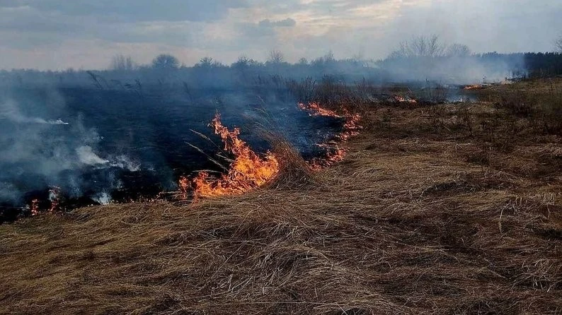 Вогняна весна на Житомирщині: за добу екосистеми області палали 12 разів