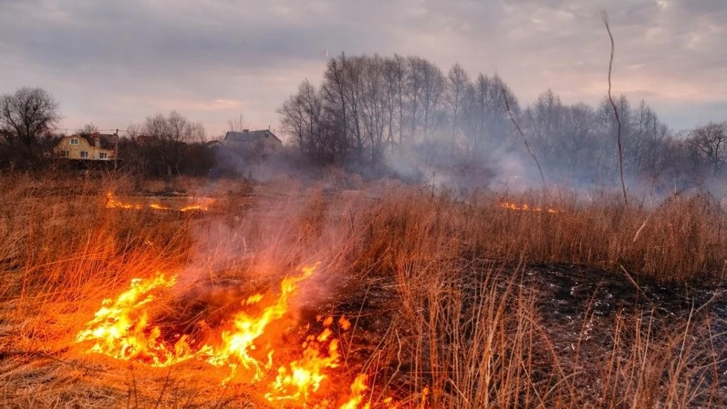 На Житомирщині вогонь на відкритій місцевості забрав здоров’я чоловіка