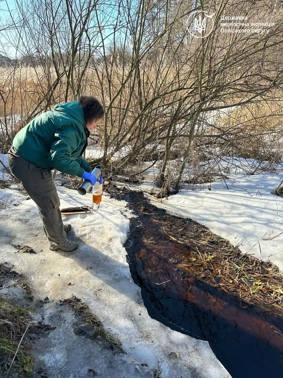 Екологічна катастрофа на Крошенці: понад 2300 загиблих рибин та мільйонні збитки