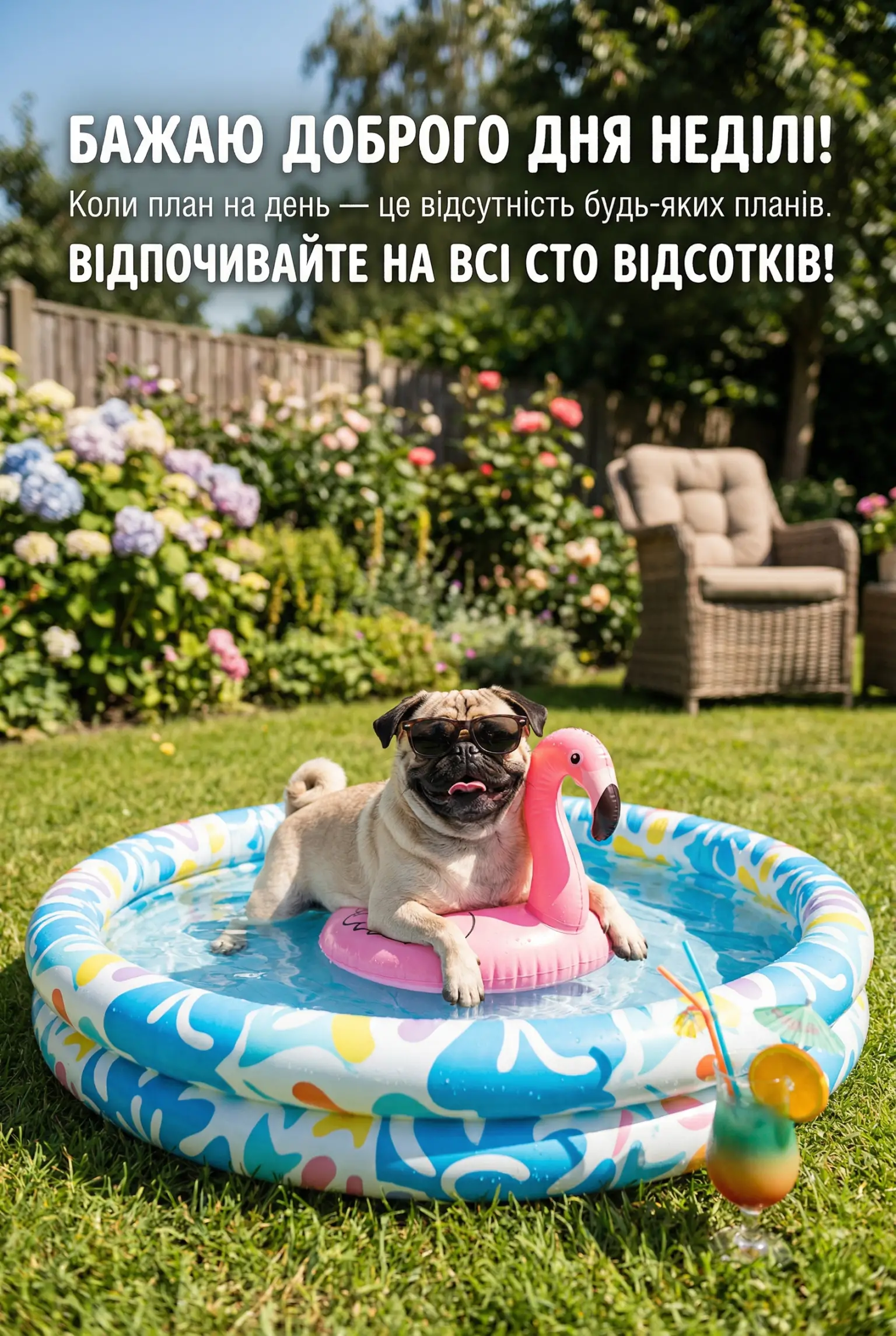 Доброго дня неділі: прикольні картинки та душевні вітання для гарного настрою