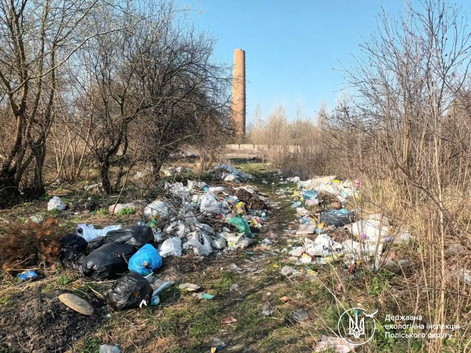 Екологічна інспекція виявила нелегальні звалища на Житомирщині та вимагає їхньої ліквідації
