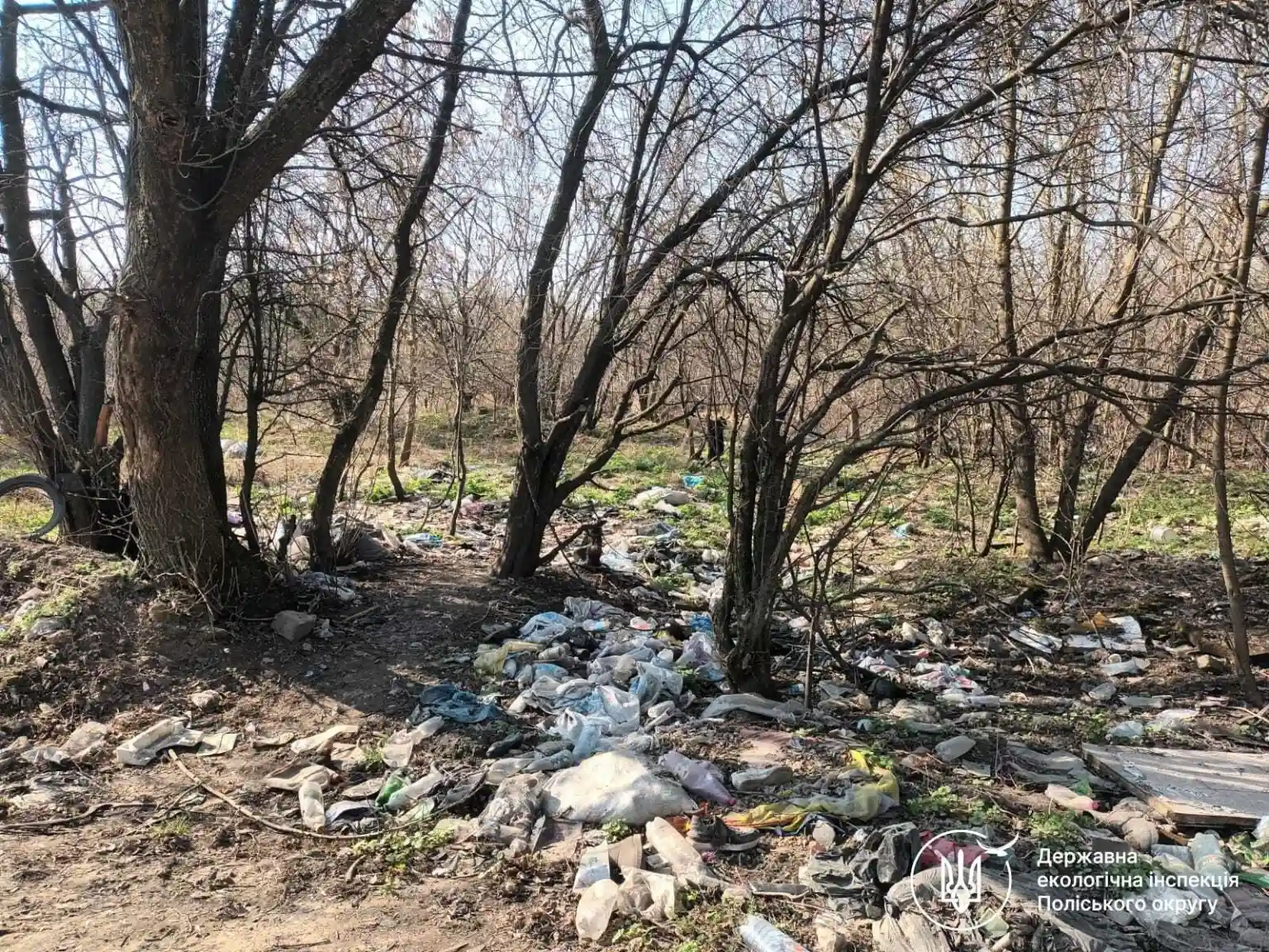 Екологічна інспекція виявила нелегальні звалища на Житомирщині та вимагає їхньої ліквідації