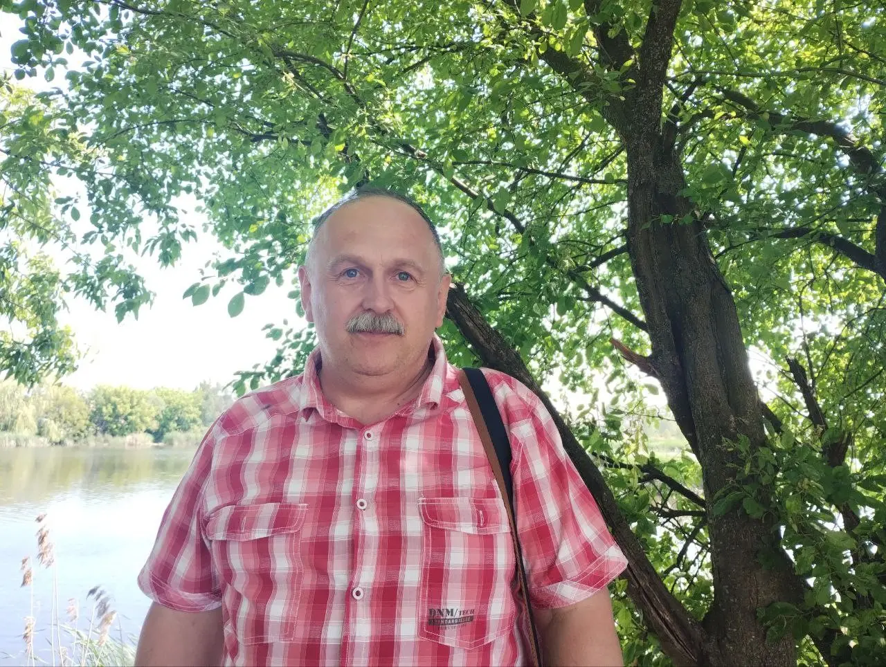 Підступна краса ранньої весни: чим приваблює та лякає пшінка