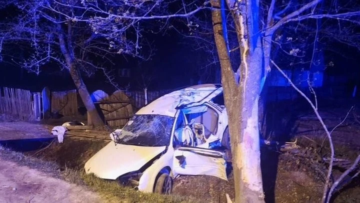 Трагедія у Звягельському районі: нетверезий водій Ford протаранив дерево, загинула дитина