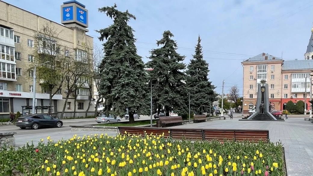 Погода змінює настрій: на Житомирщині очікують похолодання і вітряні вихідні