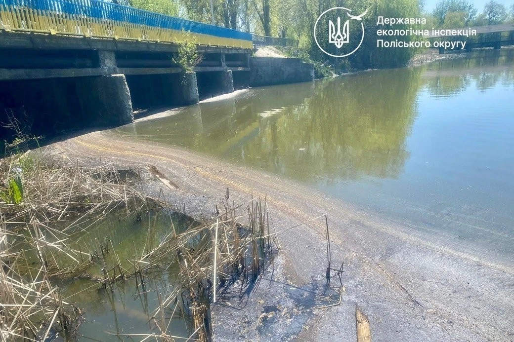 Екологічна катастрофа на Житомирщині: у річці Мика масово загинула риба