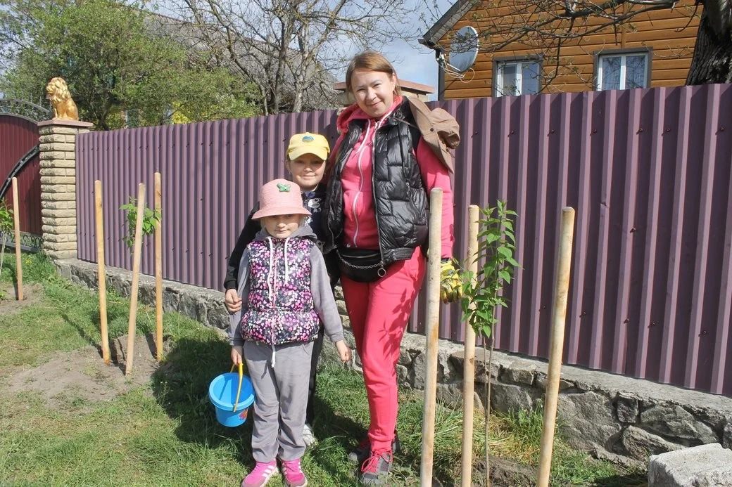 На Житомирщині планують висадити найбільший у світі бузковий масив: перші тисячі кущів уже в землі