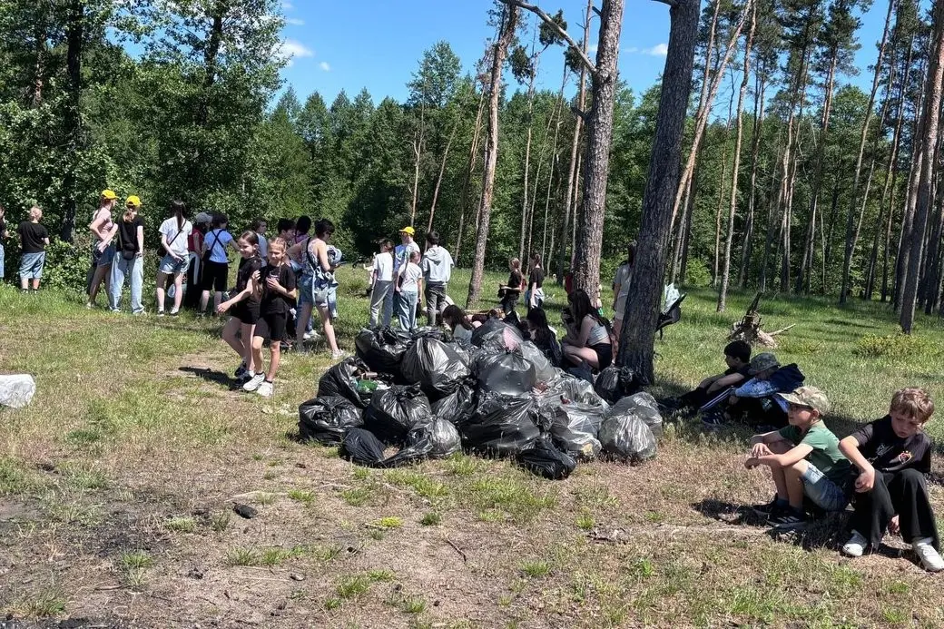 Толока нового формату: у Малині після тривалої перерви відновили масштабний екофестиваль