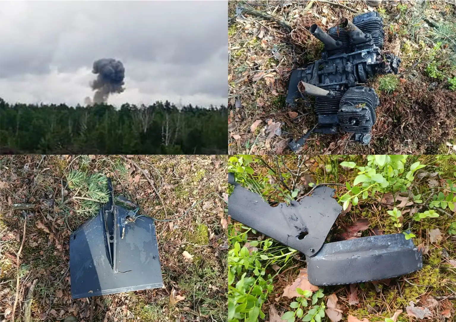 Прикордонники на Житомирщині ліквідували ворожий безпілотник