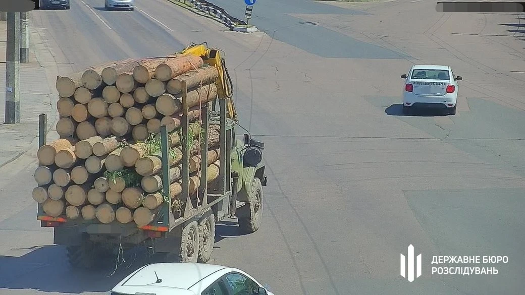 Тіньова лісопилка на Житомирщині: перед судом постануть п’ятеро учасників схеми