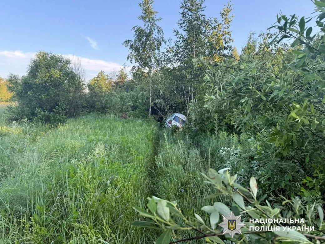 Нічна ДТП на Житомирщині: зіткнення з лосем призвело до реанімації