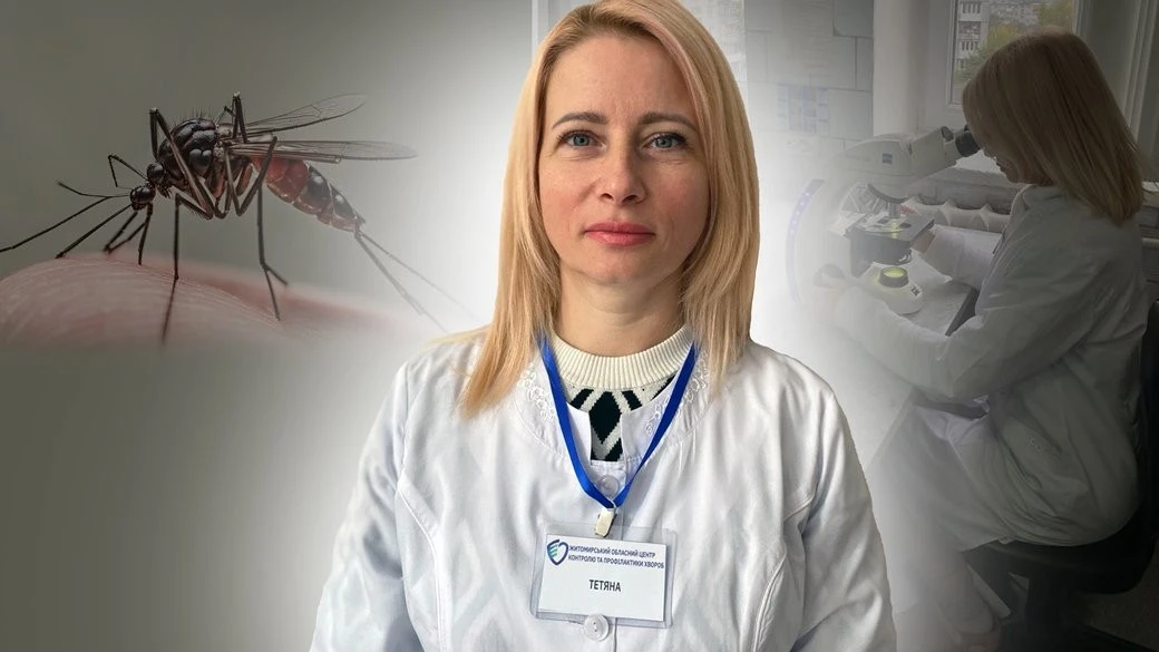 Аналіз кровосисних комах на Житомирщині: які загрози виявив моніторинг