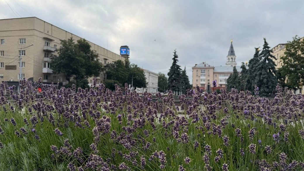 Сонце замість хмар: на Житомирщину повертається комфортне літнє тепло