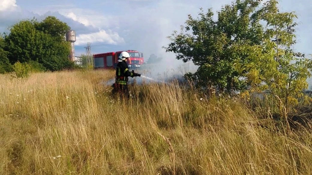 Загроза для врожаю: на Житомирщині рятувальники гасили масштабні займання сухостою